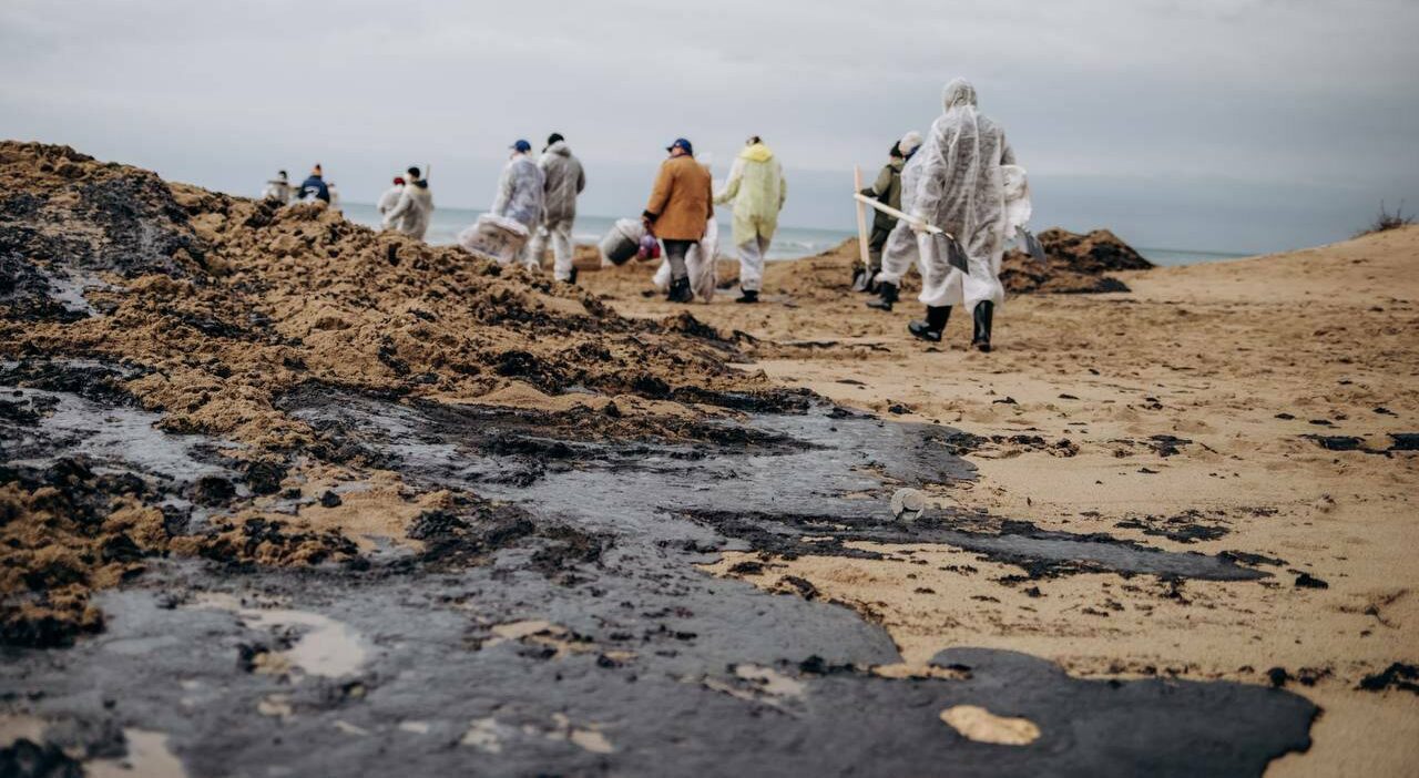 Режим чрезвычайной ситуации введен на территории Краснодарского края после крушения танкеров и разлива нефтепродуктов в Керченском проливе