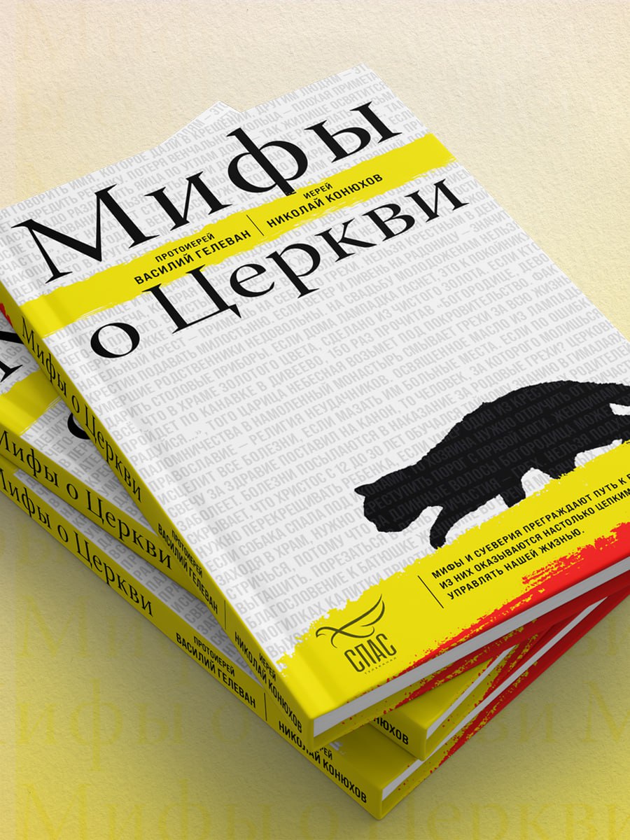 Одна из самых популярных рубрик утренней программы Телеканала «СПАС» — «Мифы о Церкви» — теперь и в книжном формате!