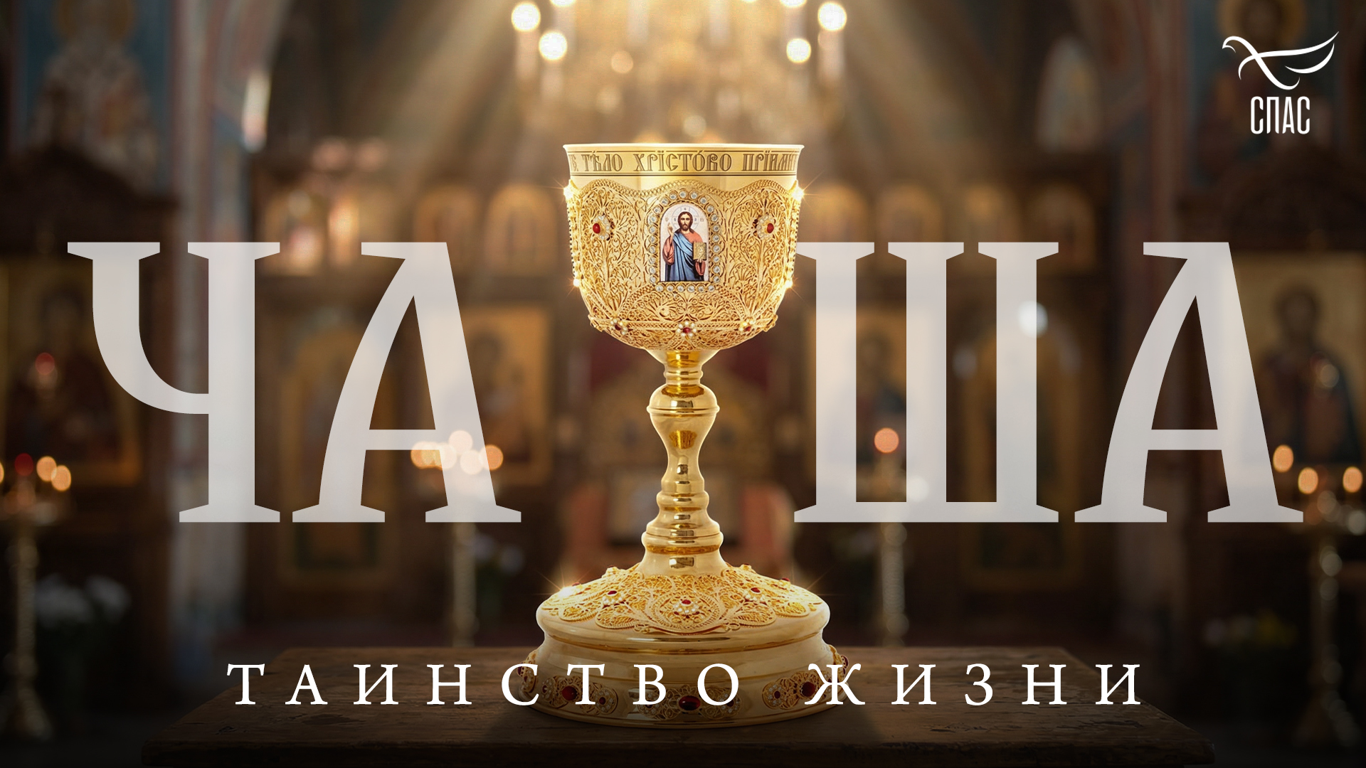 Чаша. Таинство жизни